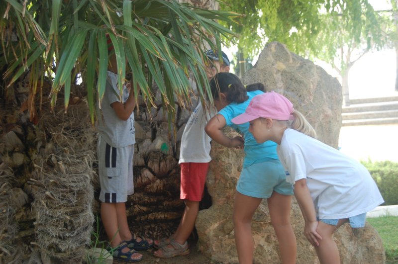 parqueandaluzcarboneras8.jpg